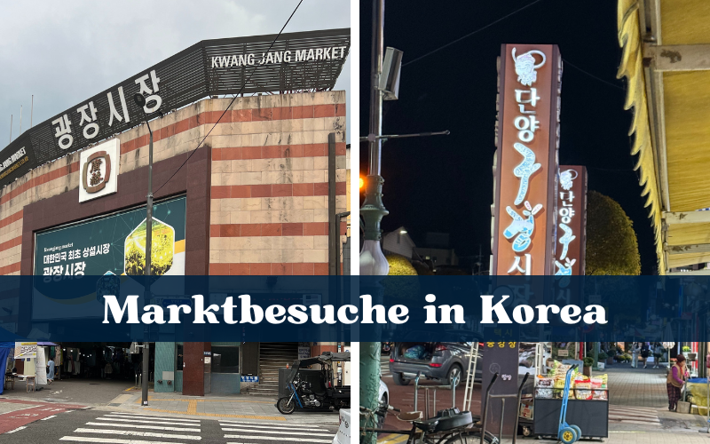 Zwei Märkte, zwei Gesichter – Marktbesuche in Korea
