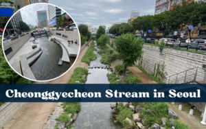 Ein Fluss mitten in Seoul erzählt seine Geschichte