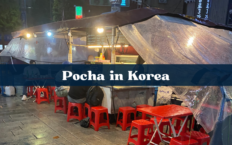 Straßenküche, Soju und Gespräche – Ein Blick auf Pojangmacha in Seoul