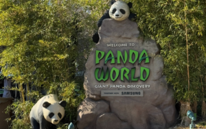 Panda World – Ein unvergessliches Erlebnis im Zeichen der Bären