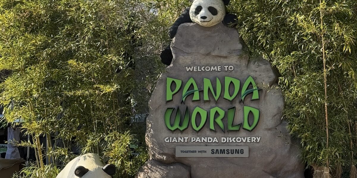 Koreas jüngster Panda heißt Shu Bao